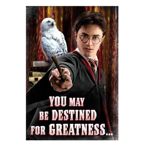 Harry Potter Destined For Greatness Birthday Card £1.45
